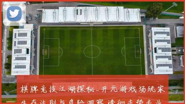 棋牌竞技江湖探秘_开元游戏场玩家生存法则与危险洞察 透彻走势专业解析