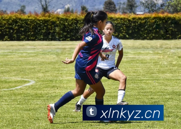 开云体育app品牌故事